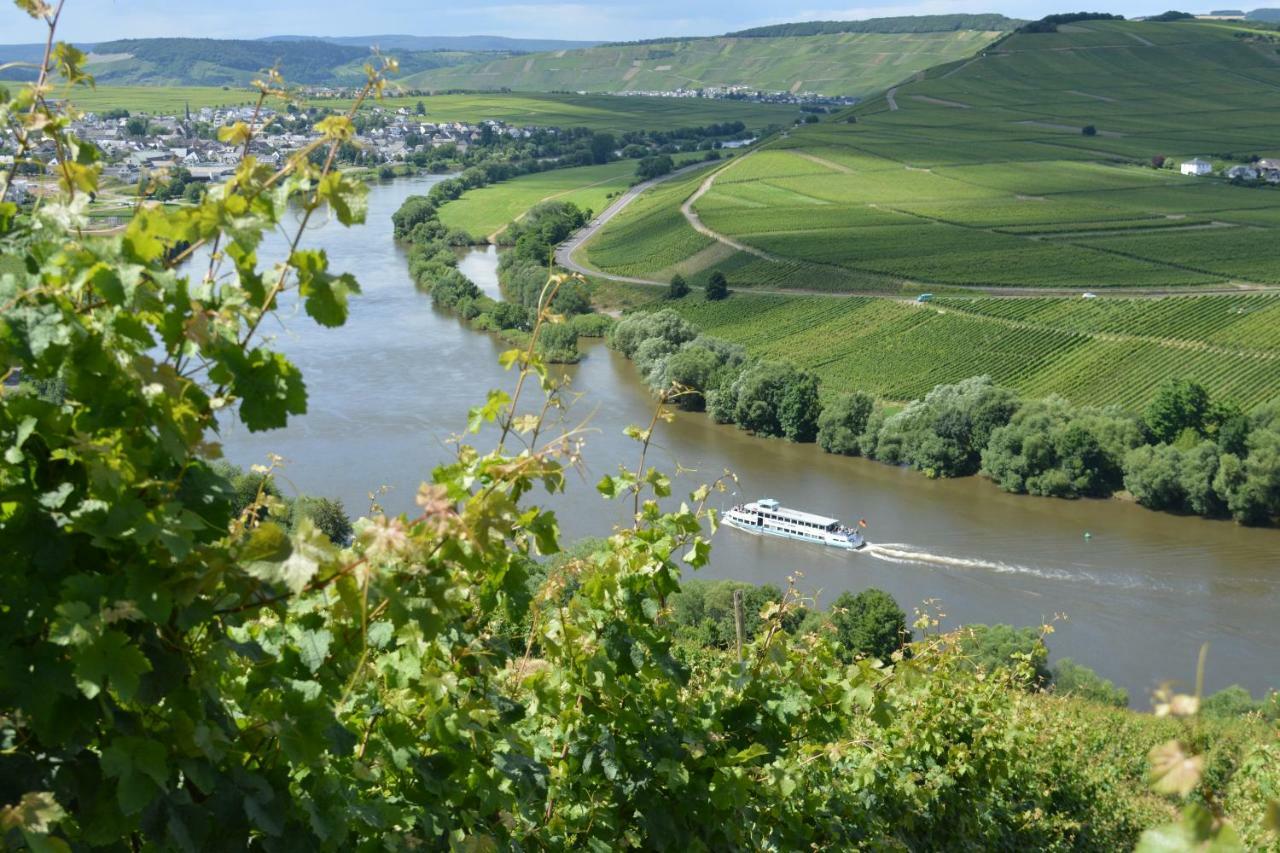 Weingut***Pension Guenther Scholtes Leiwen Ngoại thất bức ảnh